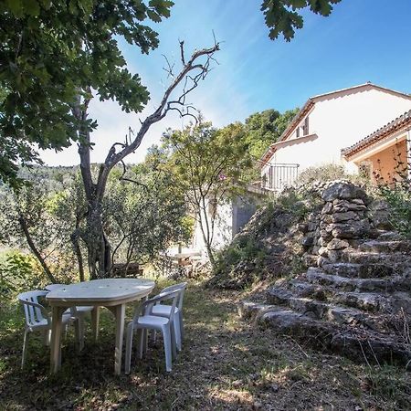 Bas De Villa Au Milieu Des Oliviers. Chateauneuf-Villevieille Exteriér fotografie